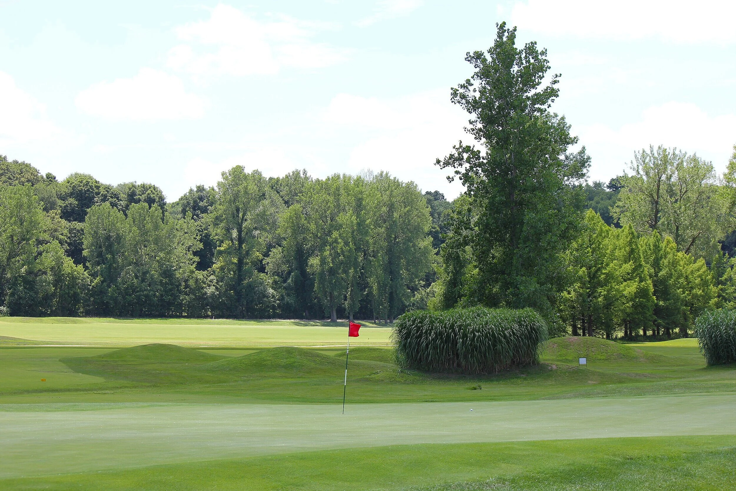 Golfer playing an approach shot on a green fairway